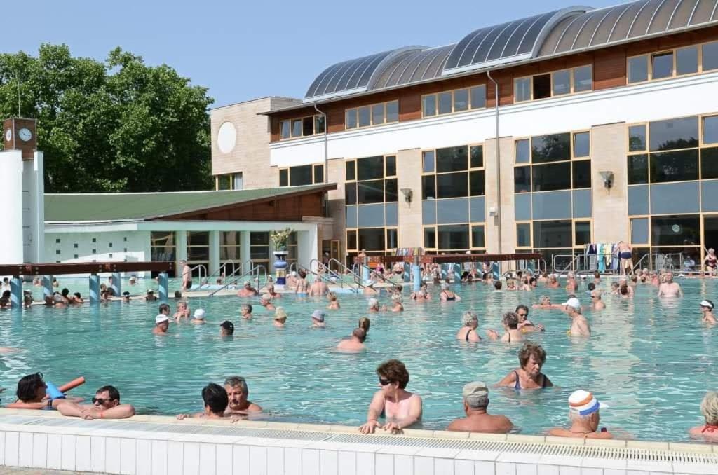 Apartman Aniko Vendeghaz Harkány Buitenkant foto